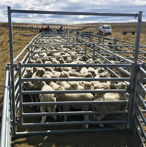 Best Price Galvanized Welded Yard Fence Panel Livestock Horse Farm Fencing