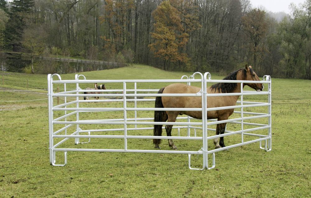 Elevate The Aesthetics Of Your Landscape With Modern Metal Fence Designs